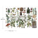 Siirtokuva 30x45 cm - Re-Design with Prima Small Transfers Botanical Archives