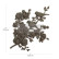 Huonekalukoriste 22x25 cm - Re-Design with Prima Decor Poly Serene Perch