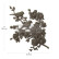 Huonekalukoriste 22x25 cm - Re-Design with Prima Decor Poly Serene Perch