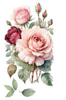 Siirtokuva 30x60 cm - Papers For You Decor Transfers Rosé 3 pcs