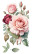 Siirtokuva 30x60 cm - Papers For You Decor Transfers Rosé 3 pcs