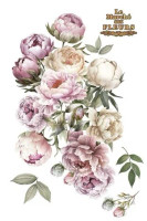 Siirtokuva 90x240 cm - Papers For You Decor Transfers Peonies 4 pcs