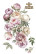 Siirtokuva 90x240 cm - Papers For You Decor Transfers Peonies 4 pcs