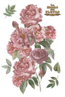Siirtokuva 90x240 cm - Papers For You Decor Transfers Roses 4 pcs