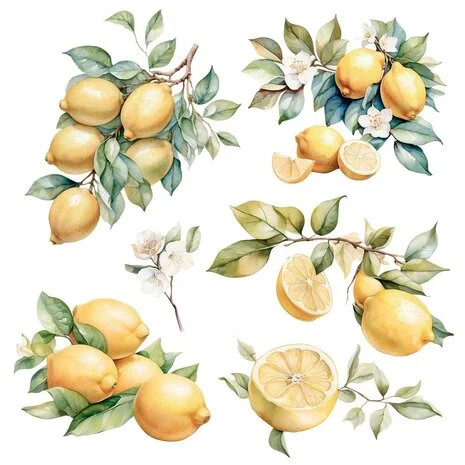 Siirtokuva 30x60 cm - Papers For You Decor Transfers Lemon 2 pcs