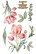 Siirtokuva 30x60 cm - Papers For You Decor Transfers Tulips 3 pcs