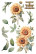 Siirtokuva 30x60 cm - Papers For You Decor Transfers Sunflowers 3 pcs