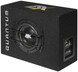 ESX Audio QXB6 Koteloitu subwoofer