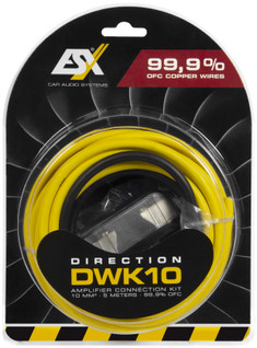 ESX Audio DWK10 Virtakitti