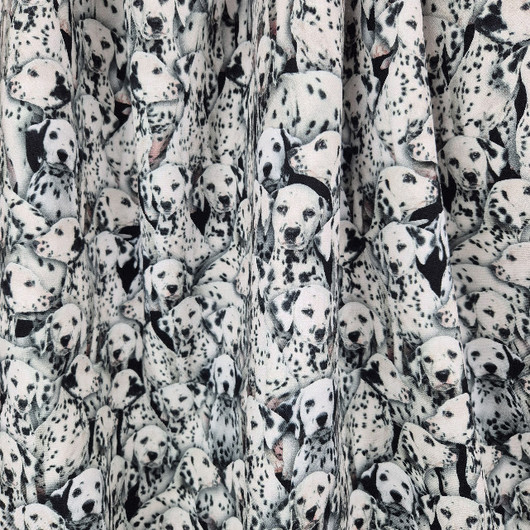 KUVIOCANVAS DALMATIAN