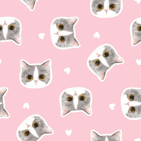 DIGITRIKOO KITTENS PINK