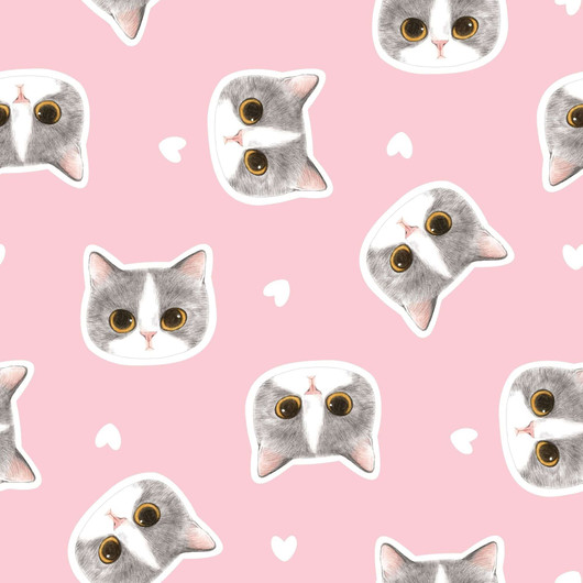 DIGITRIKOO KITTENS PINK