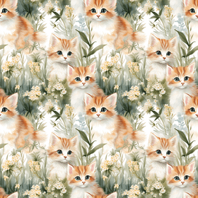 DIGITRIKOO MEADOW KITTENS