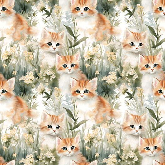 DIGITRIKOO MEADOW KITTENS