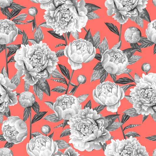 PIONIT -DIGITRIKOO KORALLI-HARMAA