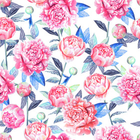 PIONIT -DIGITRIKOO VALKOINEN