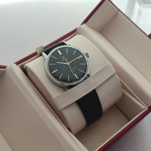 Omega Seamaster 600