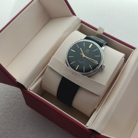 Omega Seamaster 600
