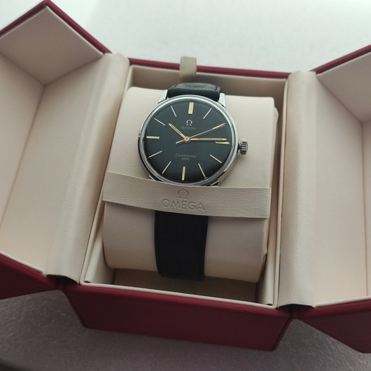 Omega Seamaster 600