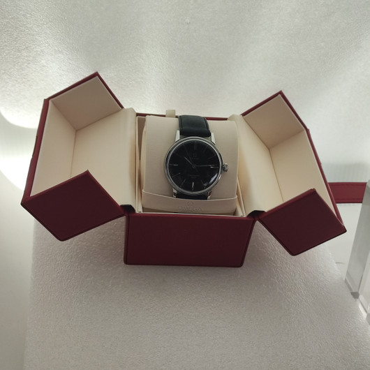 Omega Seamaster 600
