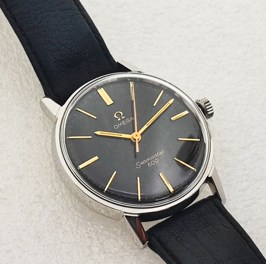 Omega Seamaster 600