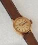 Tudor Geneve 14c