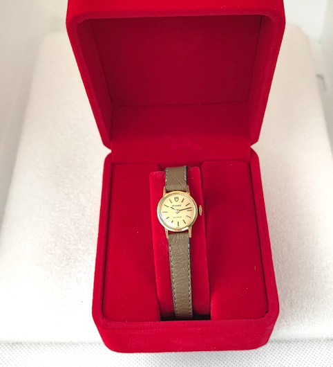 Tudor Geneve 14c
