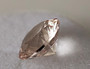 Morganite 6,8mm 