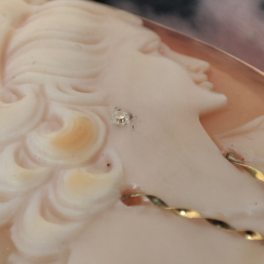 camée brooch / pendant  , handcarved by Master carver