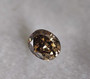 Diamond , rare   colour oval 3,1mm