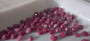 Burmalainen rubiini pari 2,5 - 3,5 mm / 0,1 ct kakkosluokkaa