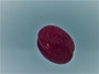 Rubiini synt. 7,1 ct ovaali