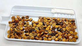 Tiger eye 8-10 mm / 2-3 ct ovl