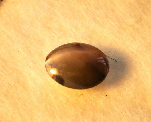 Alexandrite 4,8 x 3,8 mm / 0,3 ct oval, cat eye effect with certificate