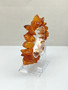 Baltic Amber bracelet 