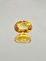 Amber (Burmite) 14 x 11 mm / 3,21 ct oval with certificate
