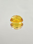 Amber (Burmite) 14 x 11 mm / 3,21 ct oval with certificate