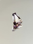 Ametrine multicolour 9.8 ct, fancy 