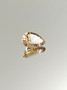 Citriini 6.8 ct, pisara