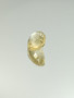 Citriini 17.5 ct, ovaali