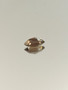 Smoky Quartz 1.9 ct, marquise