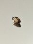 Smoky Quartz 1.9 ct, marquise