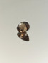 Smoky Quartz 6.9 ct, oval
