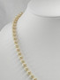 Vintage beautiful pearl necklace