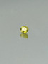 Sphene 1,1 ct ovaali