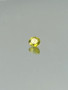 Sphene 1,1 ct ovaali