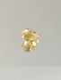 Citriini 2 ct, fancy hionta