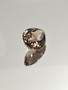 Savukvartsi 22.6 ct, pisara