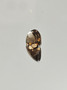 Savukvartsi 5.7 ct, ovaali