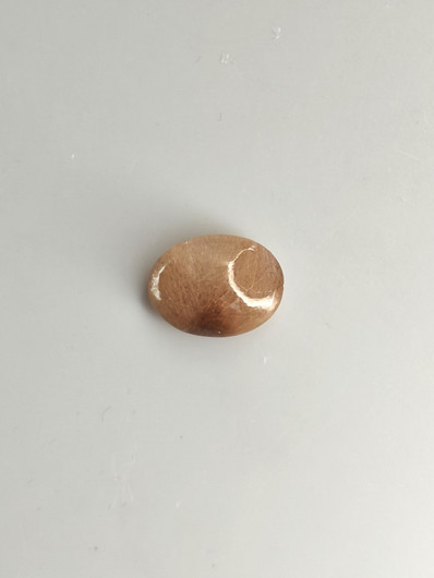 Rutiilikvartsi 8.2 ct, ovaali